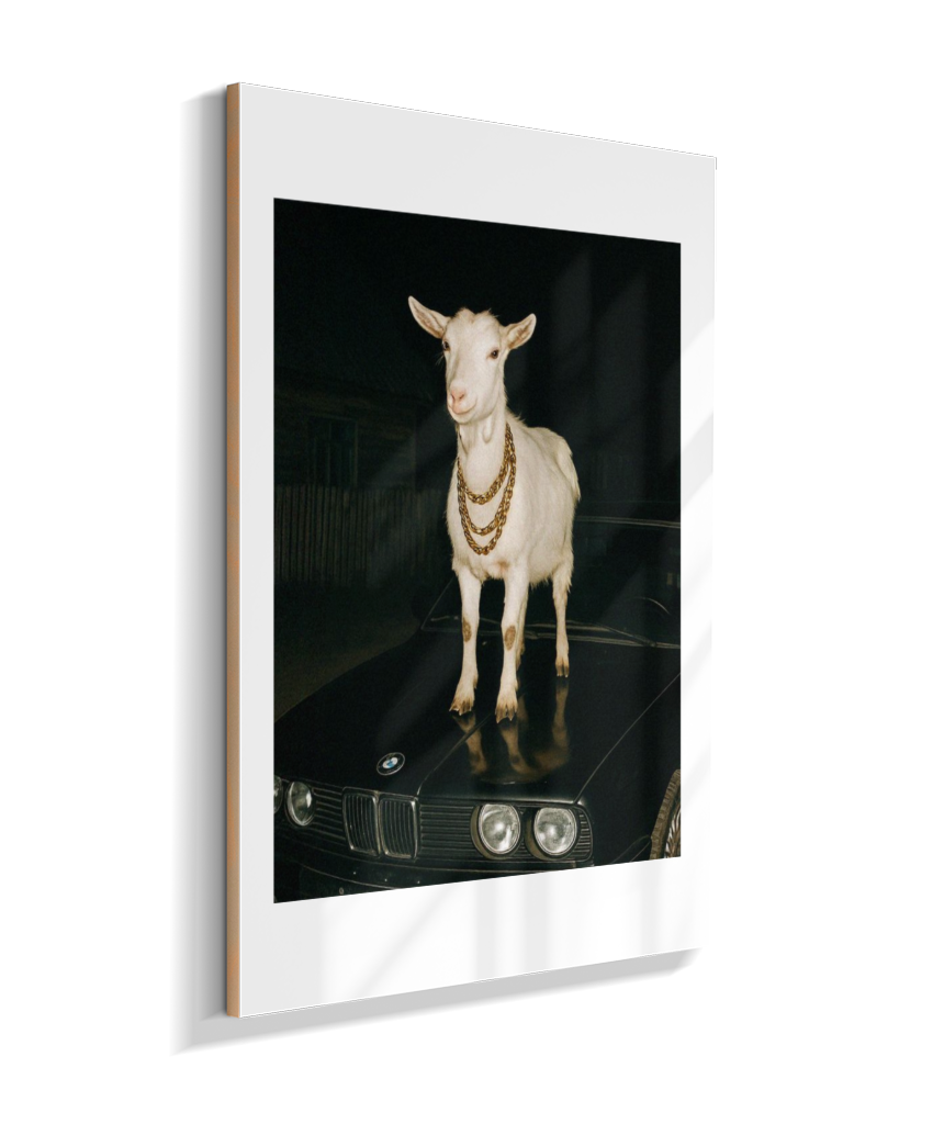 Quadro Decorativo Retangular DropWall – COD #Q0002
