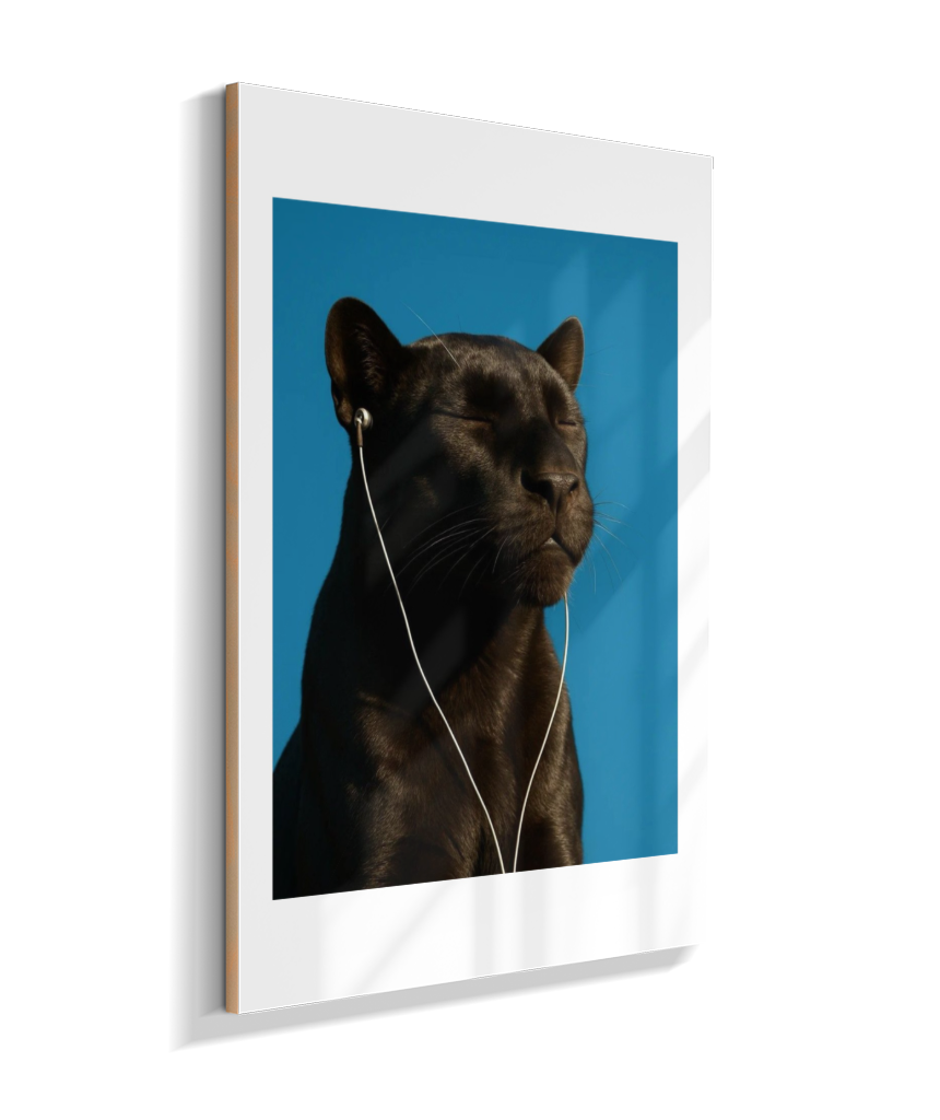Quadro Decorativo Retangular DropWall – COD #Q0015