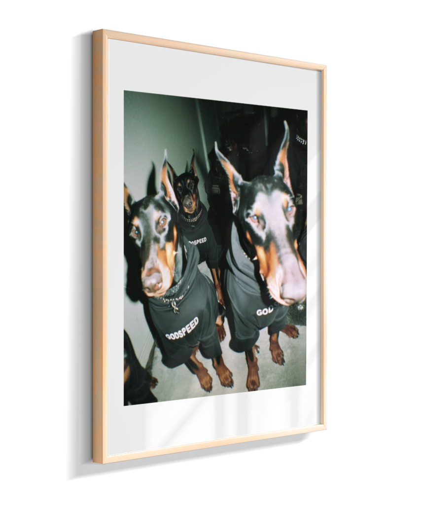 Quadro Decorativo Retangular DropWall – COD #Q0001