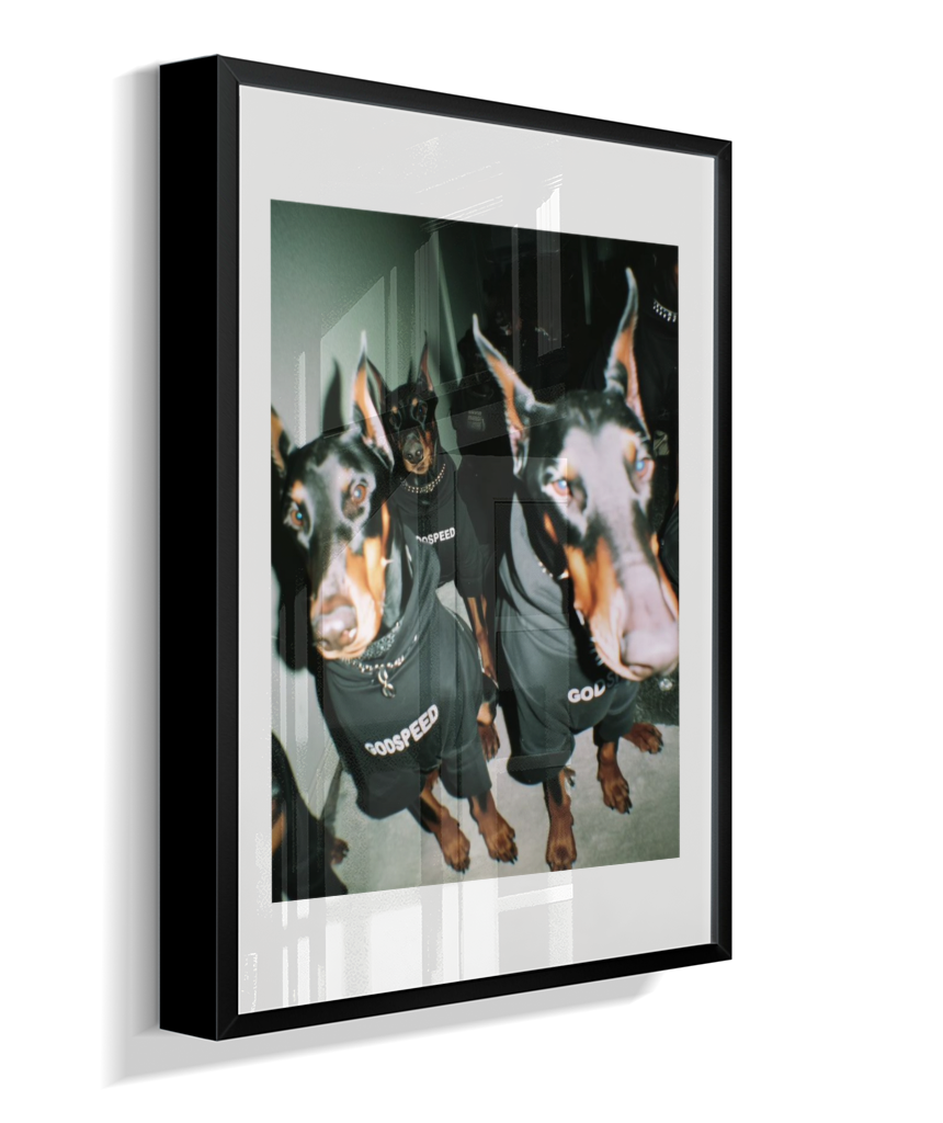 Quadro Decorativo Retangular DropWall – COD #Q0001
