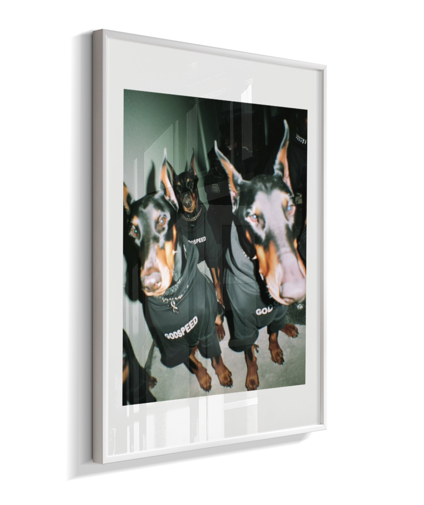Quadro Decorativo Retangular DropWall – COD #Q0001