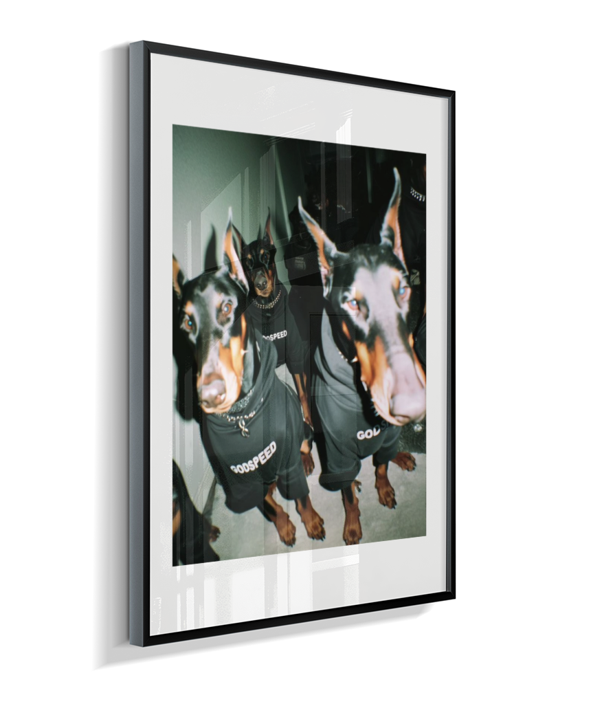 Quadro Decorativo Retangular DropWall – COD #Q0001