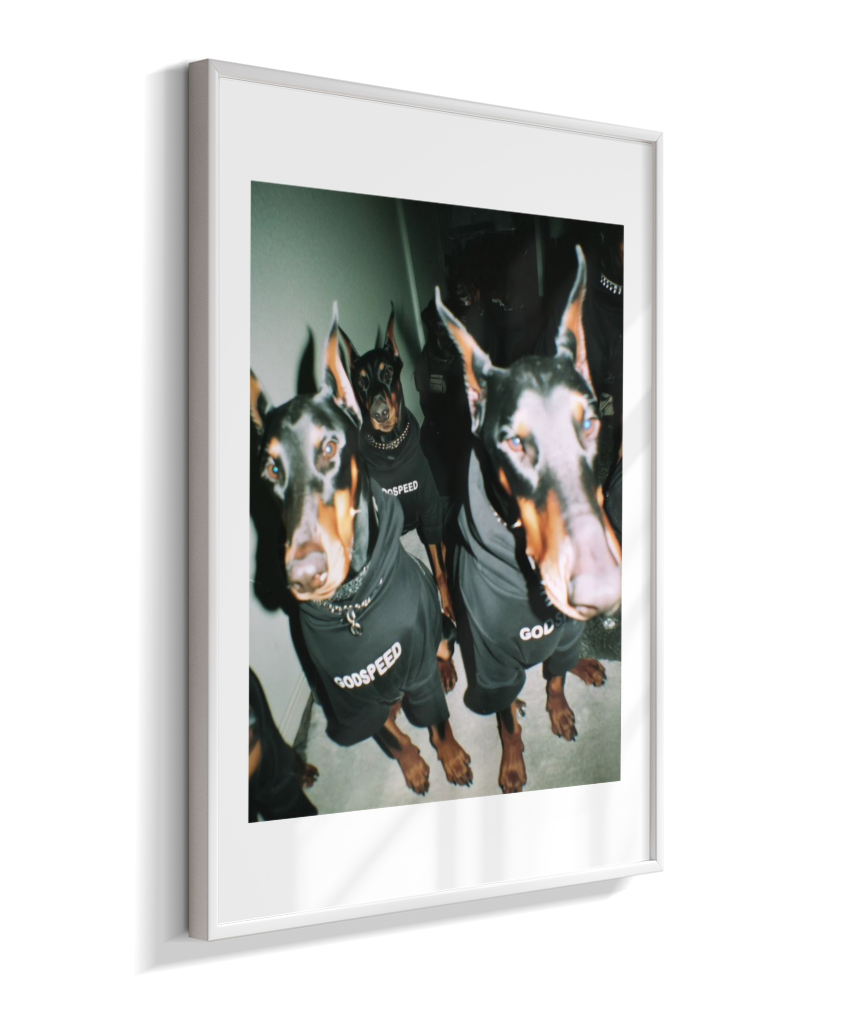 Quadro Decorativo Retangular DropWall – COD #Q0001