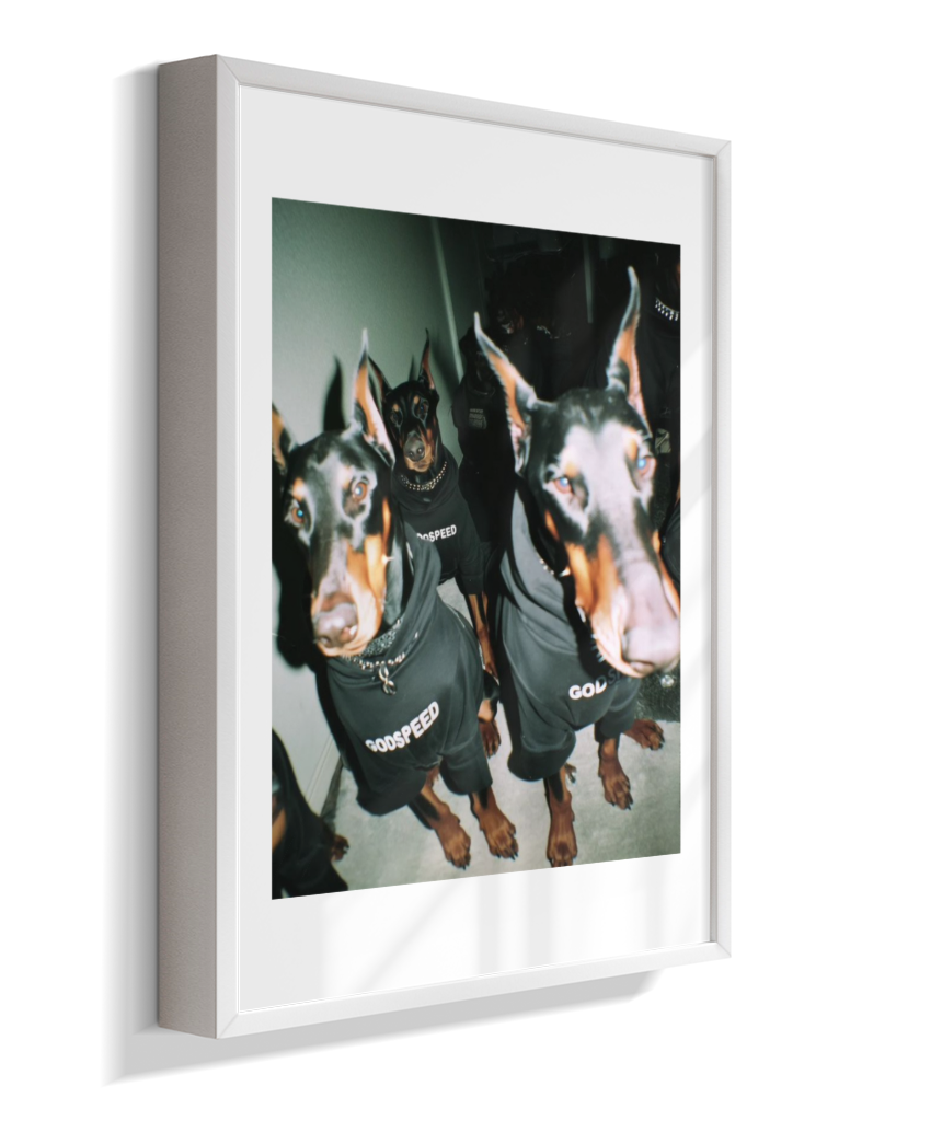 Quadro Decorativo Retangular DropWall – COD #Q0001