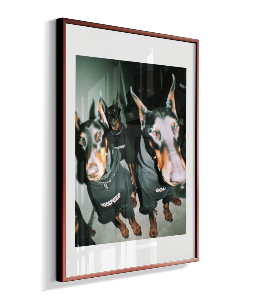 Quadro Decorativo Retangular DropWall – COD #Q0001