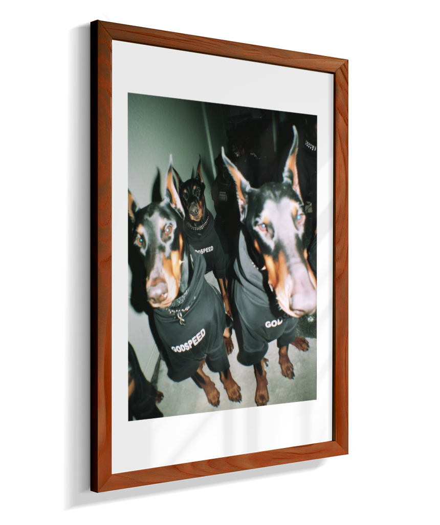 Quadro Decorativo Retangular DropWall – COD #Q0001