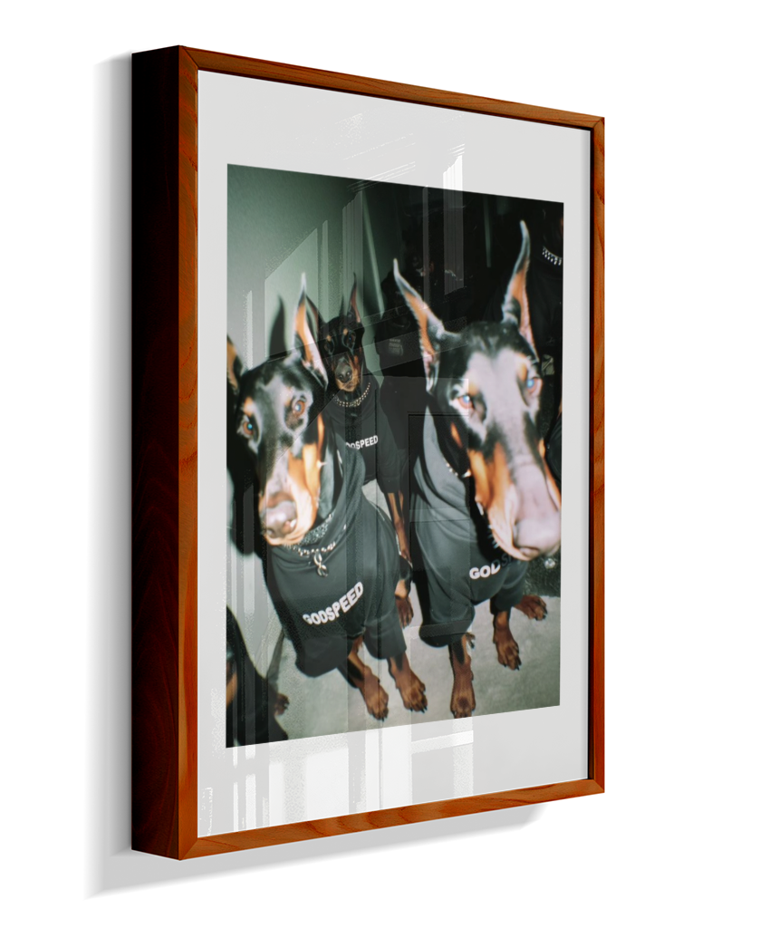Quadro Decorativo Retangular DropWall – COD #Q0001
