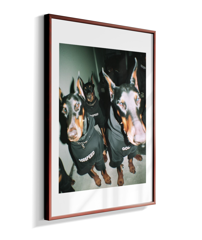 Quadro Decorativo Retangular DropWall – COD #Q0001