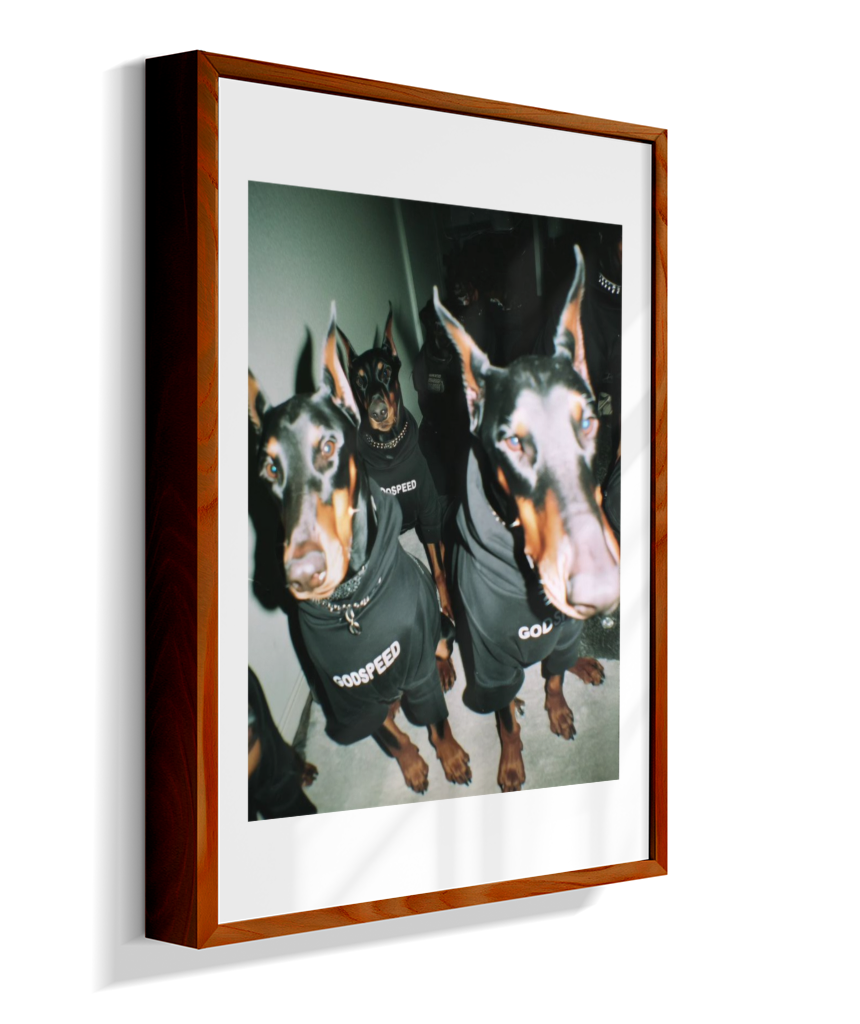 Quadro Decorativo Retangular DropWall – COD #Q0001