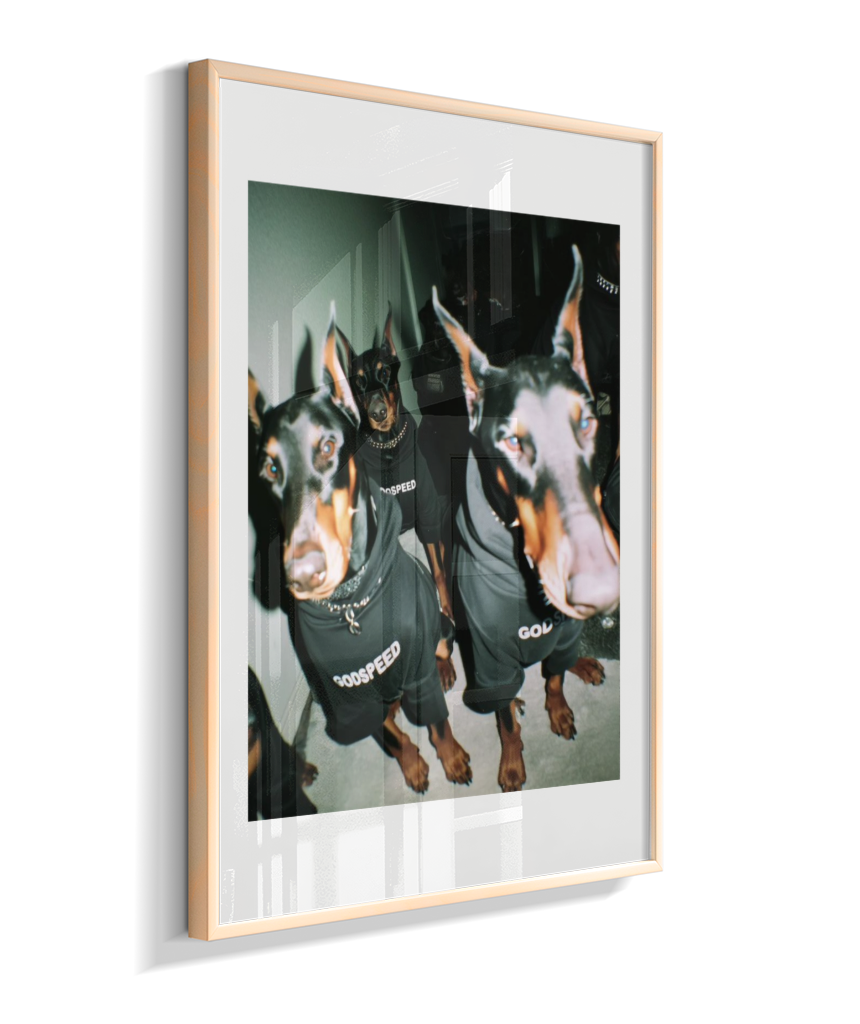 Quadro Decorativo Retangular DropWall – COD #Q0001
