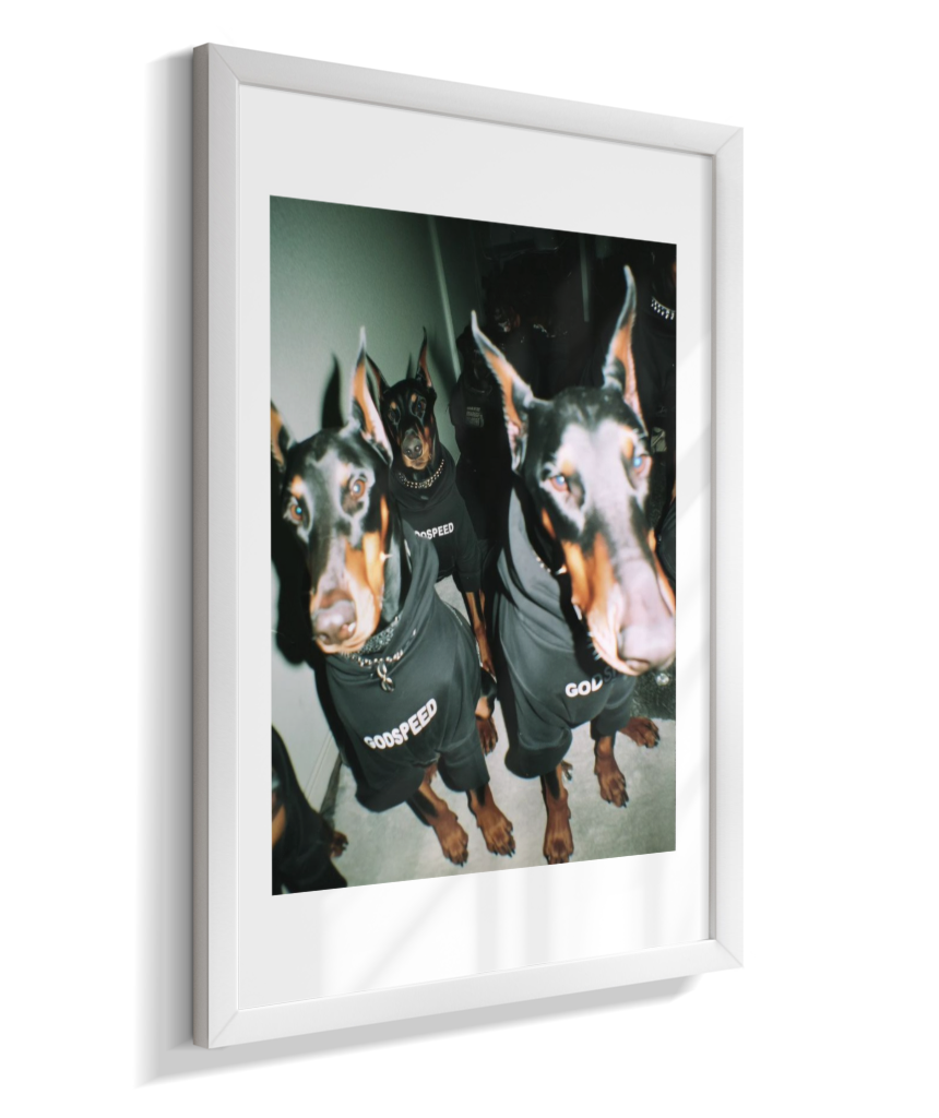 Quadro Decorativo Retangular DropWall – COD #Q0001
