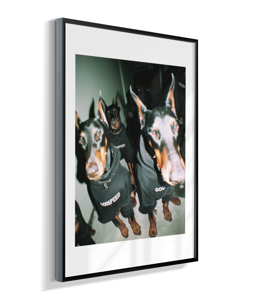 Quadro Decorativo Retangular DropWall – COD #Q0001