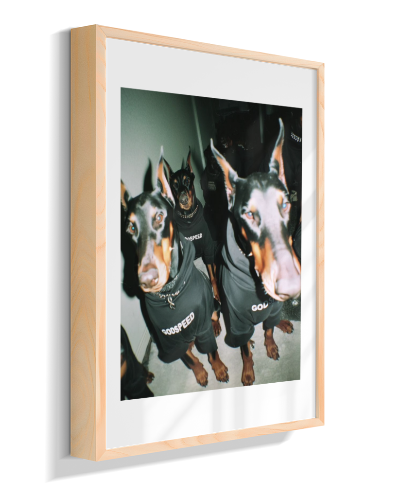 Quadro Decorativo Retangular DropWall – COD #Q0001