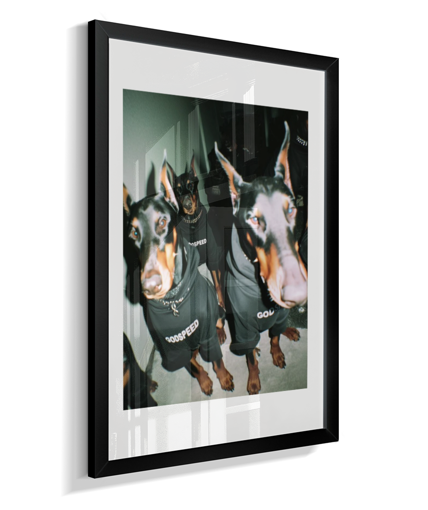 Quadro Decorativo Retangular DropWall – COD #Q0001