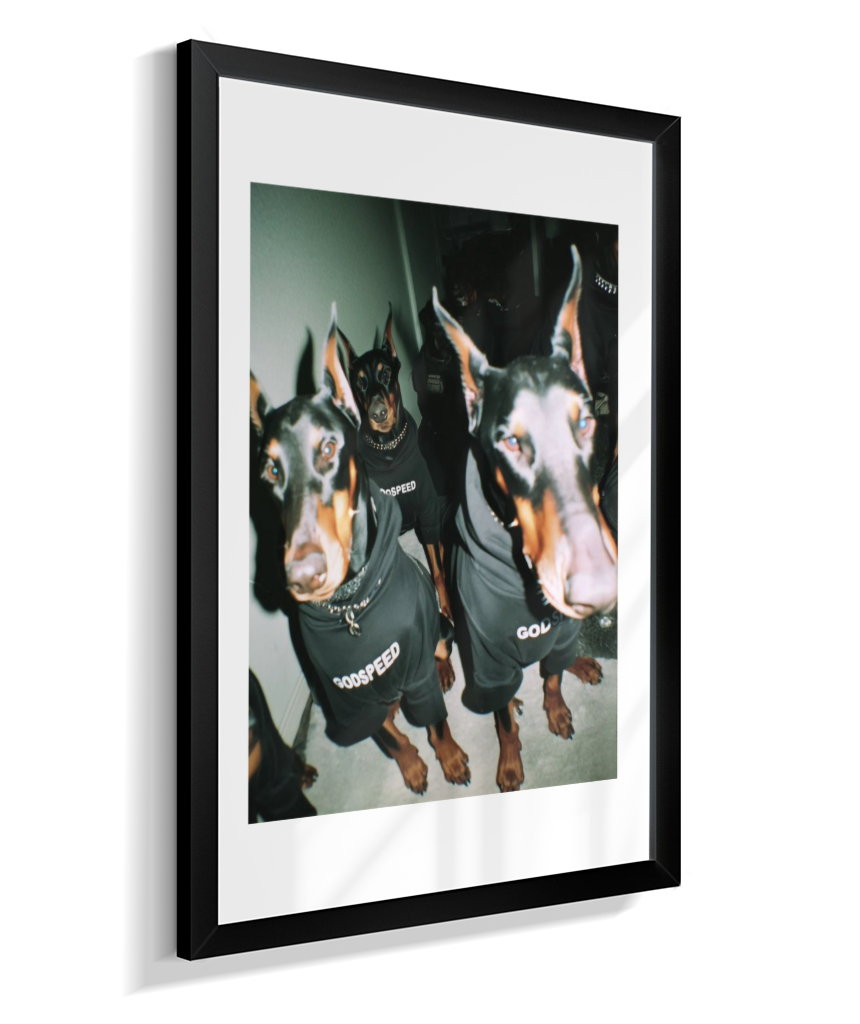 Quadro Decorativo Retangular DropWall – COD #Q0001