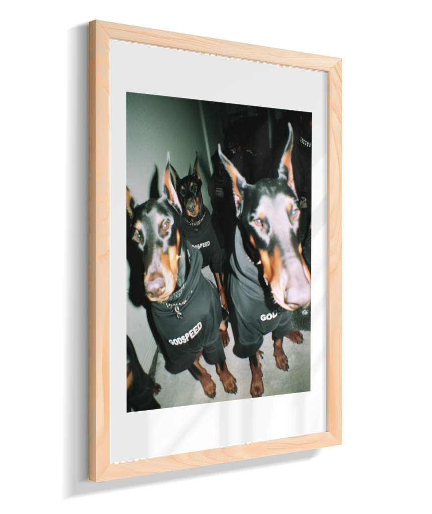 Quadro Decorativo Retangular DropWall – COD #Q0001