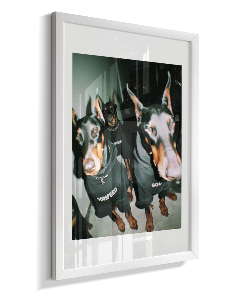 Quadro Decorativo Retangular DropWall – COD #Q0001