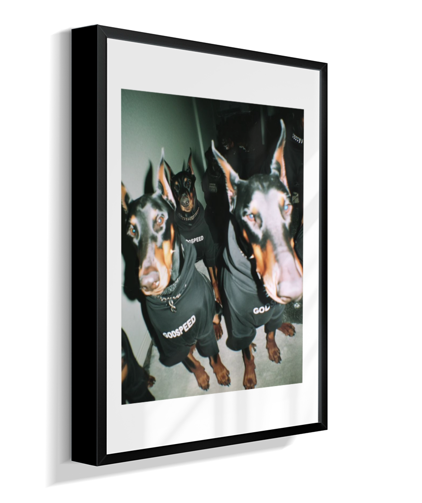 Quadro Decorativo Retangular DropWall – COD #Q0001