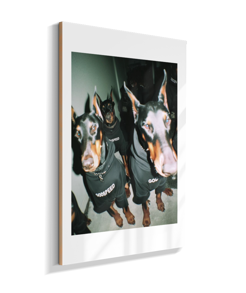 Quadro Decorativo Retangular DropWall – COD #Q0001