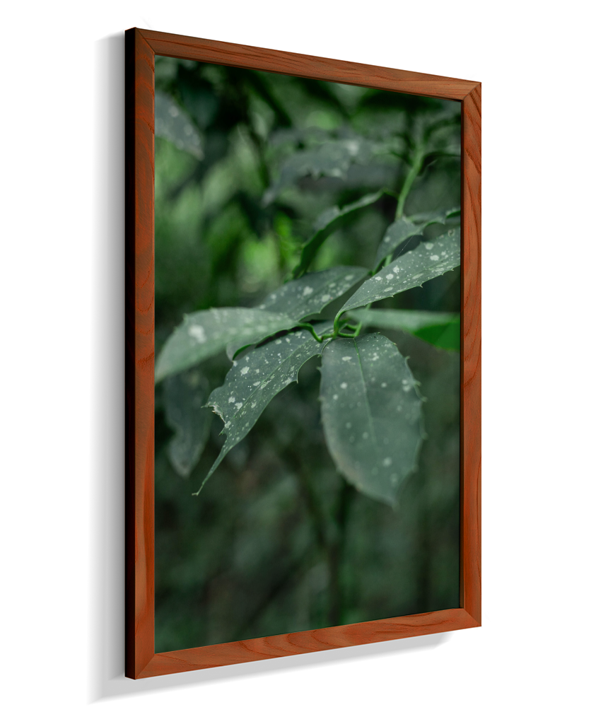 Quadro Retangular Vertical