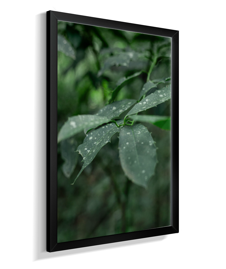 Quadro Retangular Vertical