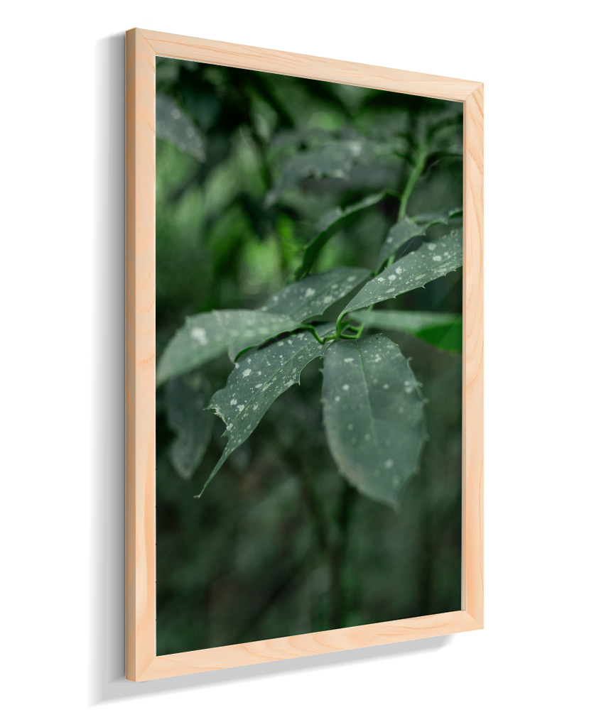 Quadro Retangular Vertical