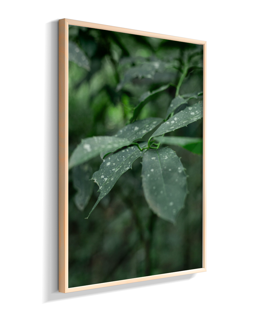 Quadro Retangular Vertical