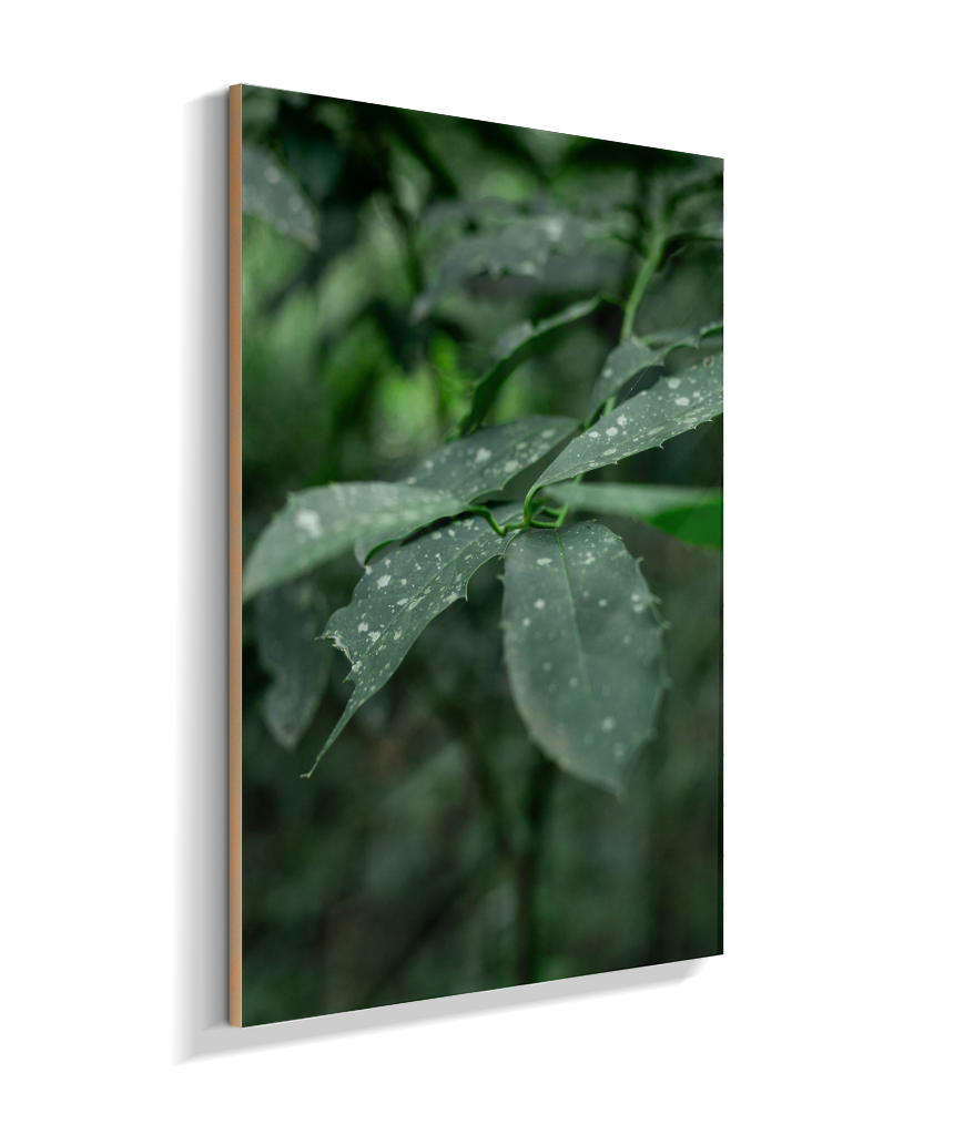 Quadro Retangular Vertical