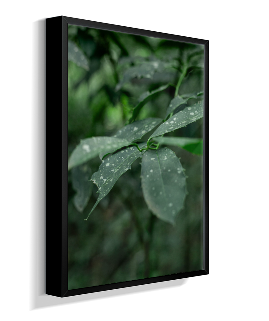 Quadro Retangular Vertical