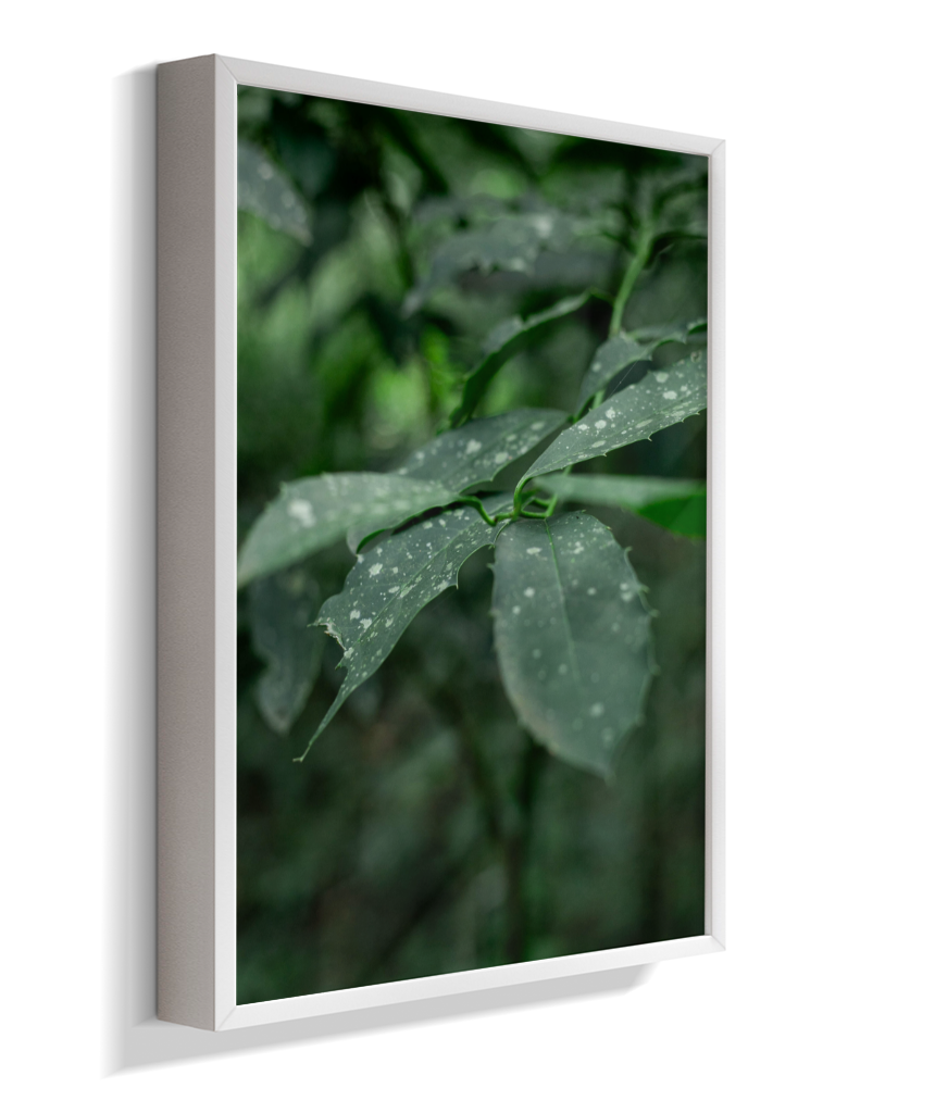 Quadro Retangular Vertical
