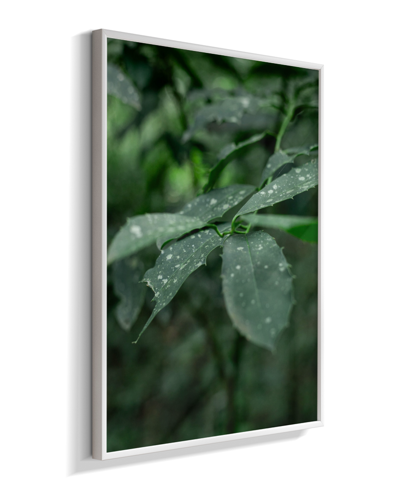 Quadro Retangular Vertical