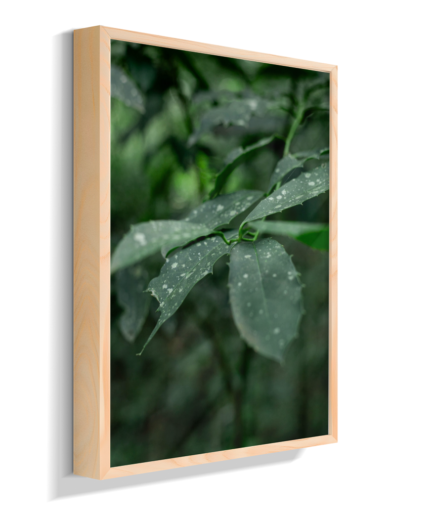 Quadro Retangular Vertical