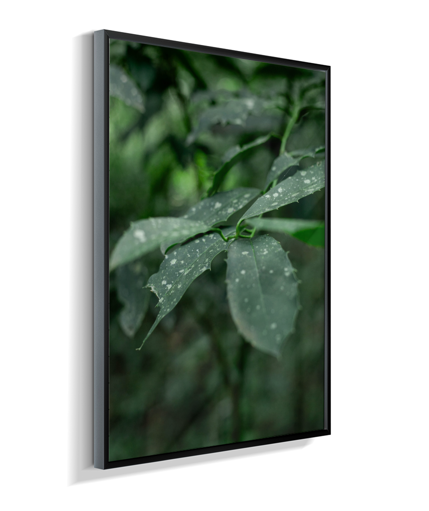 Quadro Retangular Vertical