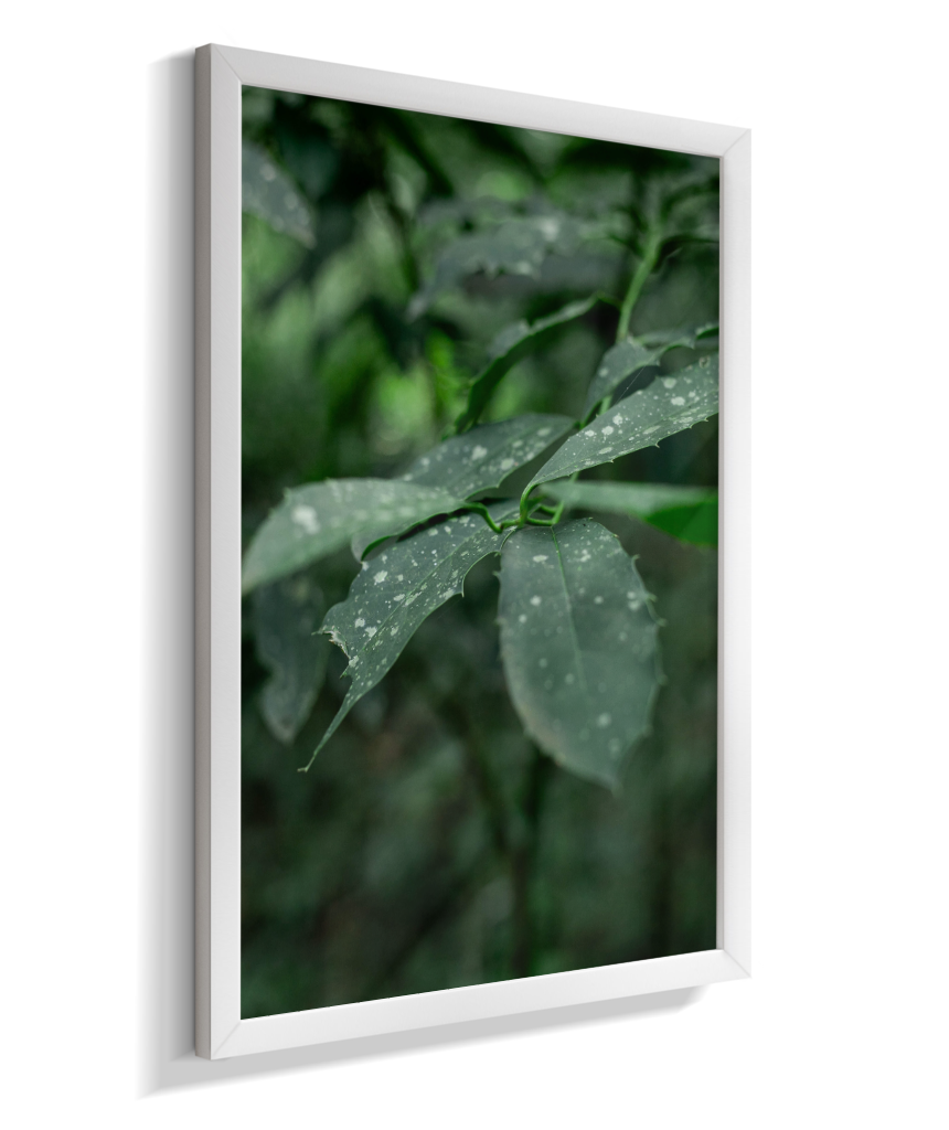 Quadro Retangular Vertical