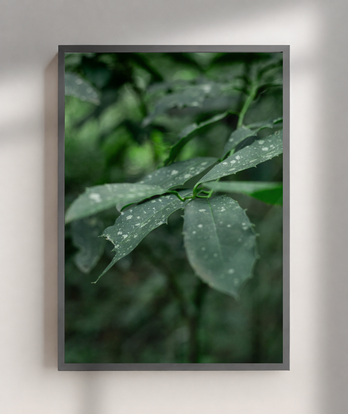 Quadro Retangular Vertical