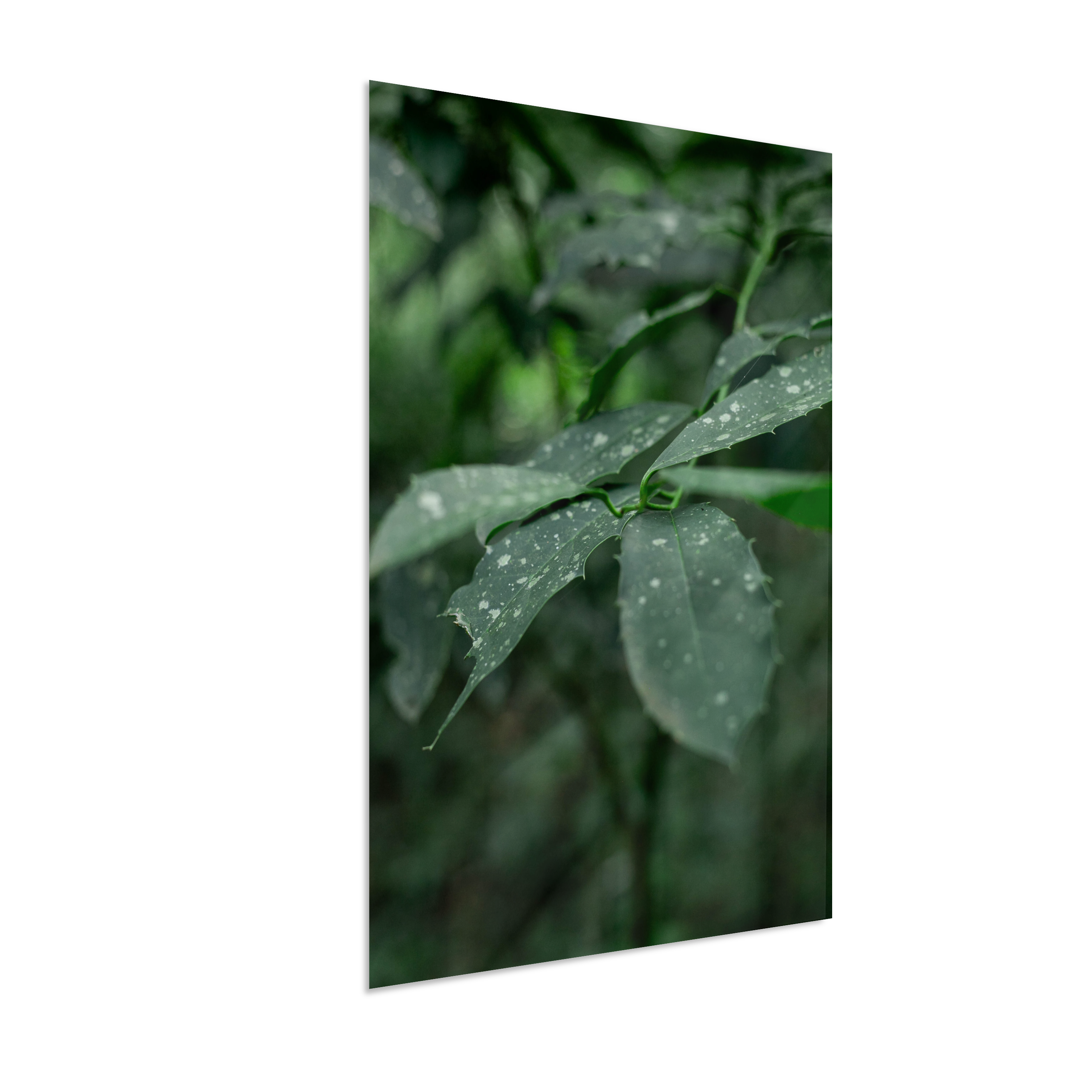 Quadro Retangular Vertical