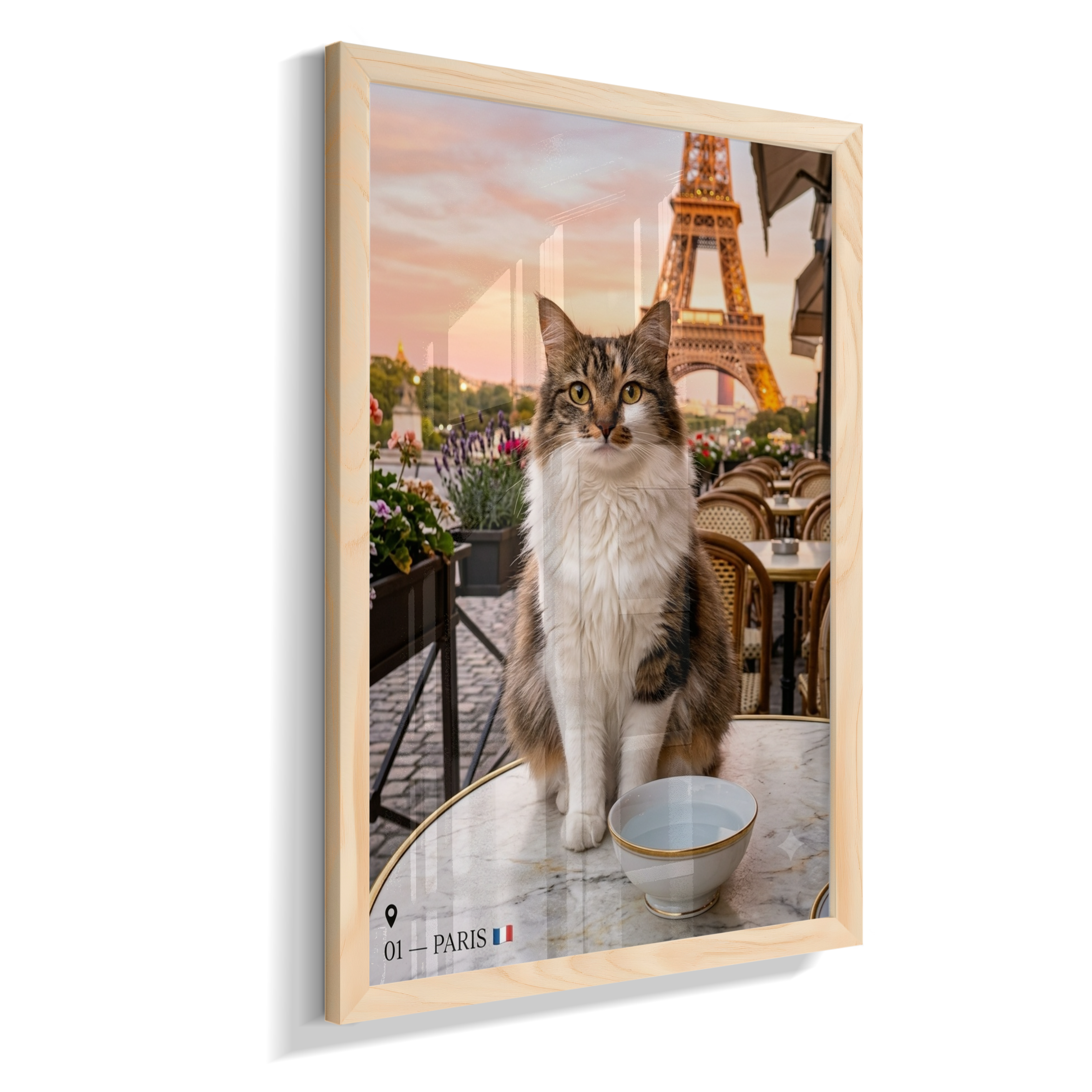 MEU PET PELO MUNDO - PARIS