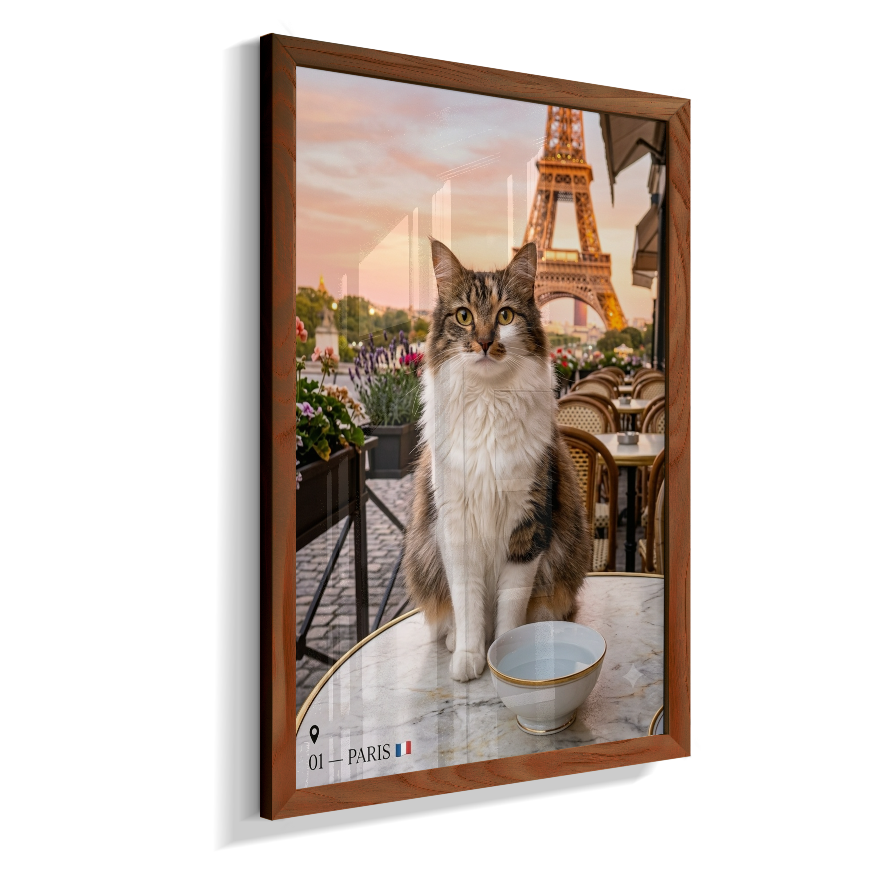 MEU PET PELO MUNDO - PARIS