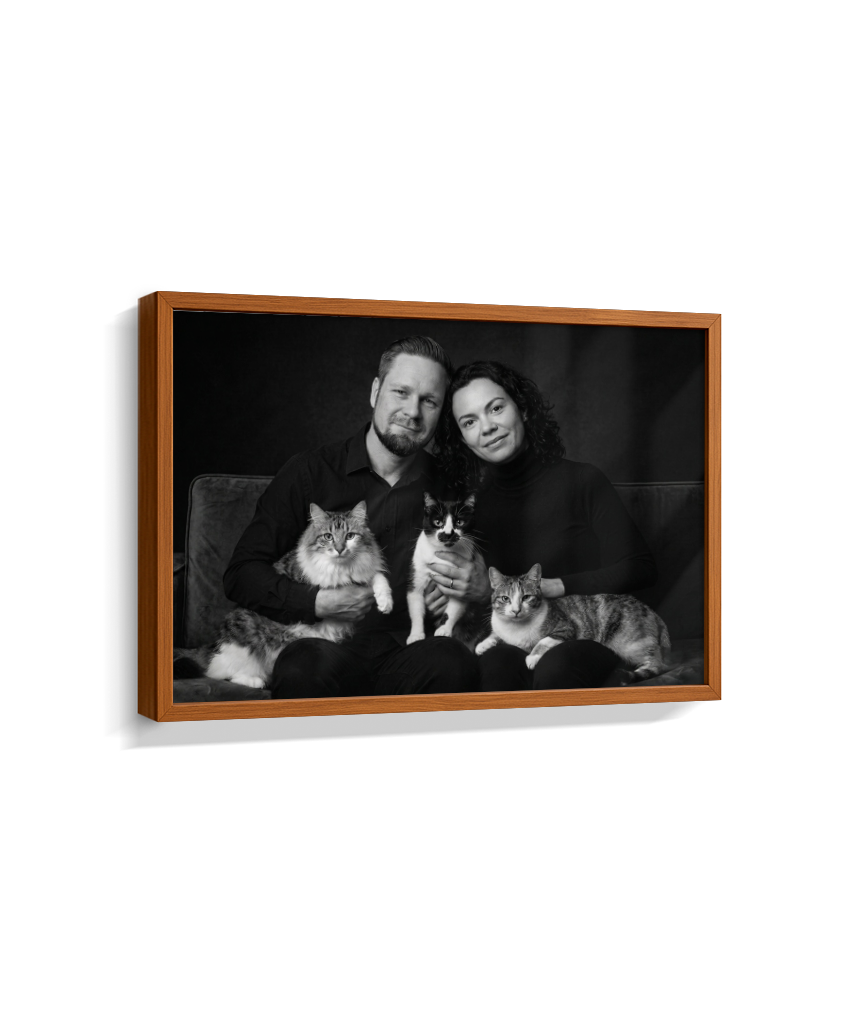 Memórias em Preto e Branco - Casal e Gatos