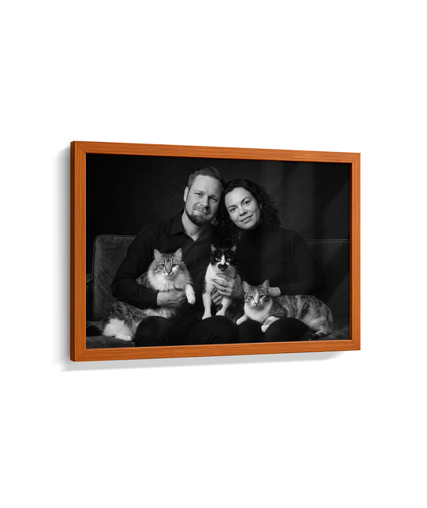 Memórias em Preto e Branco - Casal e Gatos