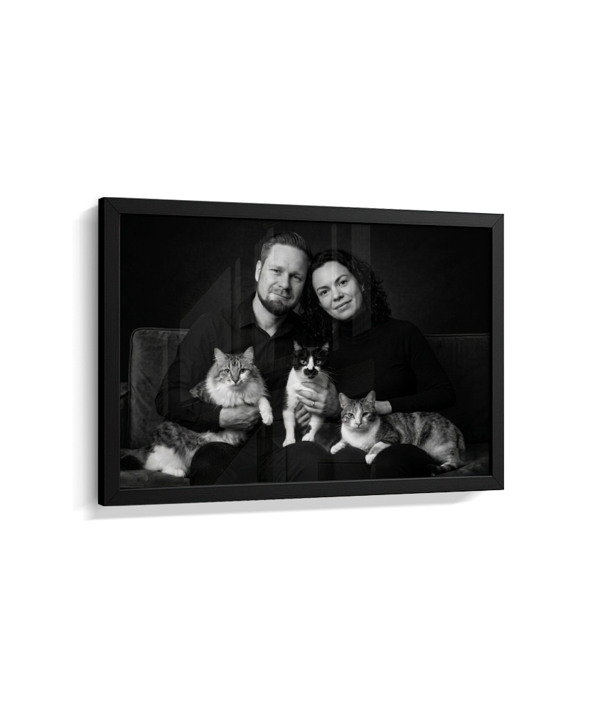 Memórias em Preto e Branco - Casal e Gatos