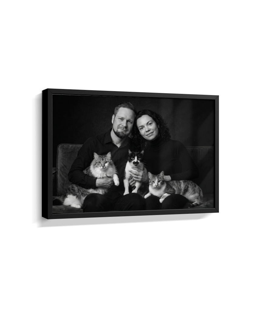 Memórias em Preto e Branco - Casal e Gatos