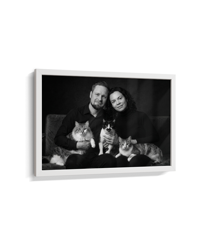 Memórias em Preto e Branco - Casal e Gatos