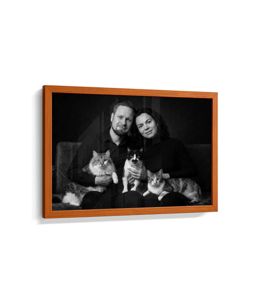 Memórias em Preto e Branco - Casal e Gatos