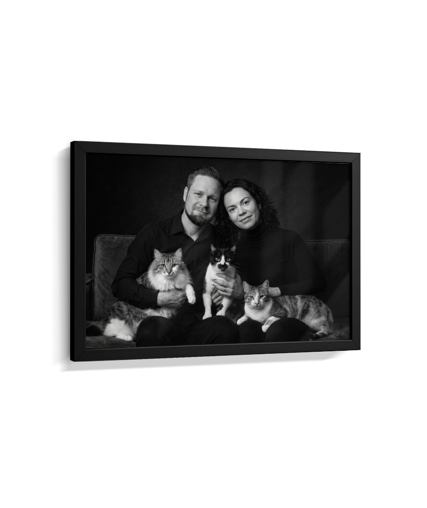 Memórias em Preto e Branco - Casal e Gatos
