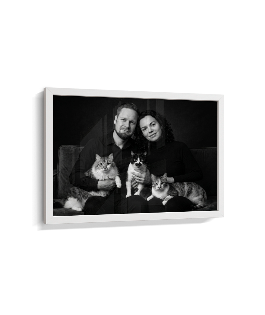 Memórias em Preto e Branco - Casal e Gatos