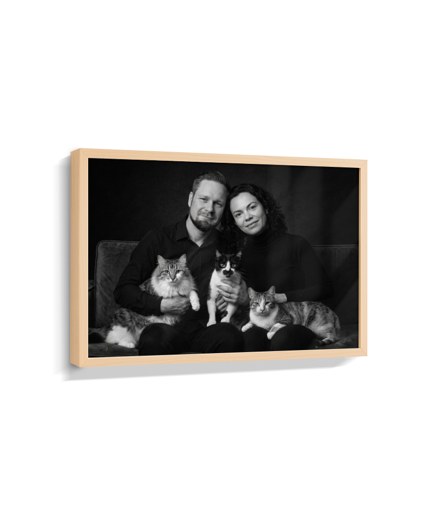 Memórias em Preto e Branco - Casal e Gatos
