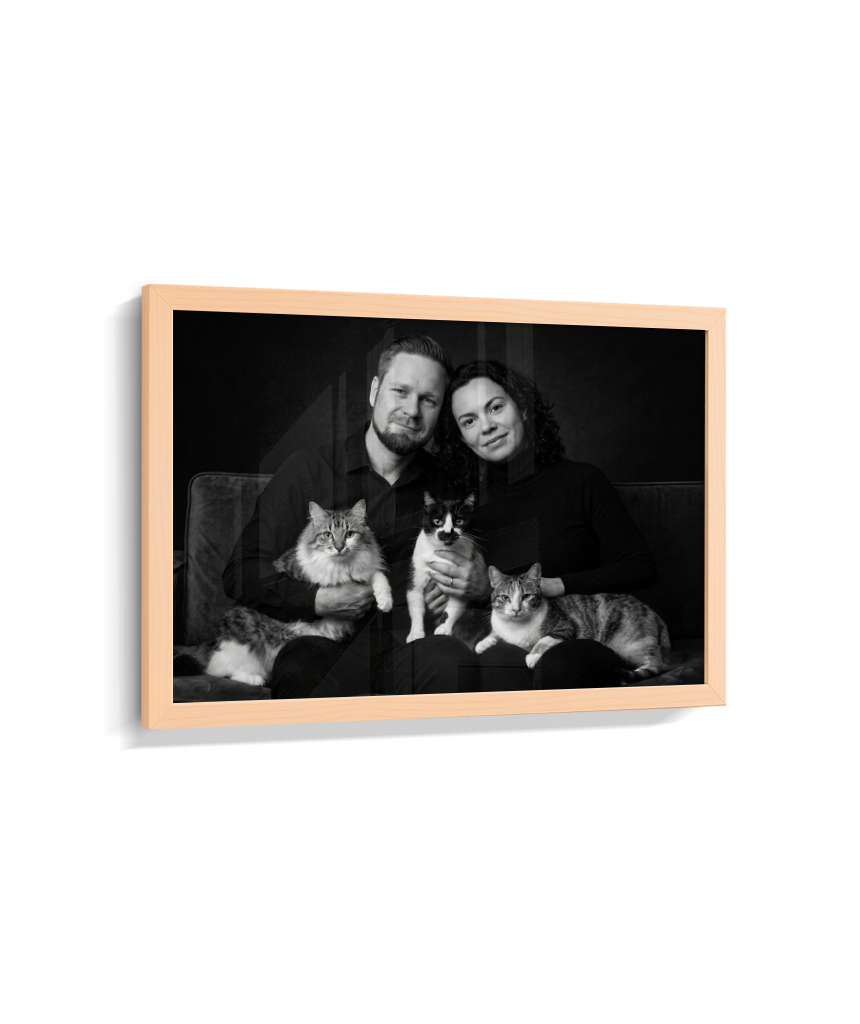 Memórias em Preto e Branco - Casal e Gatos