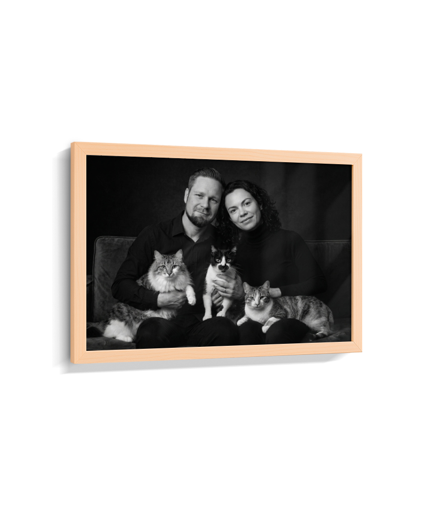 Memórias em Preto e Branco - Casal e Gatos