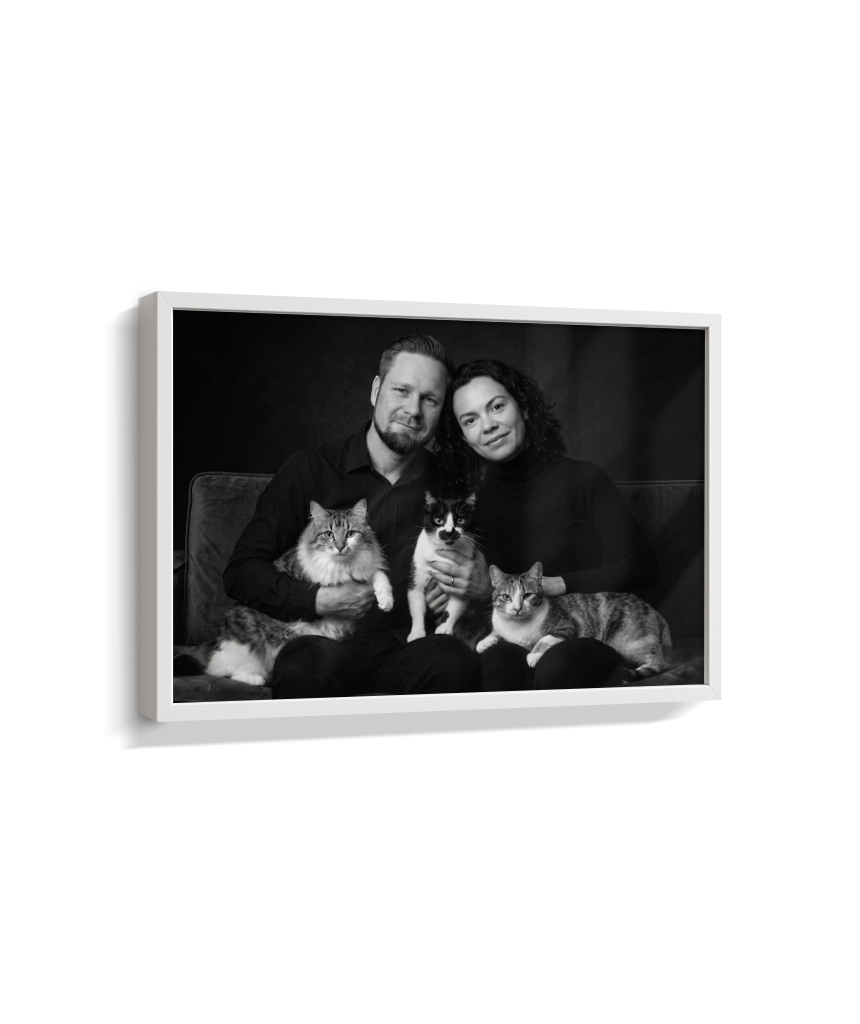 Memórias em Preto e Branco - Casal e Gatos